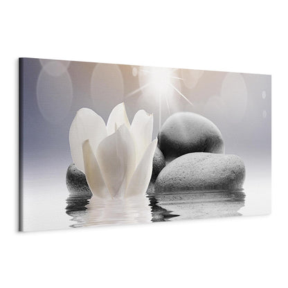 Leinwandbild - Pebbles in Water (1 Part) Narrow