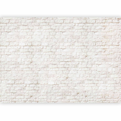Fototapete Tabula Rasa - Minimalistische Komposition mit puristischen Strukturen
