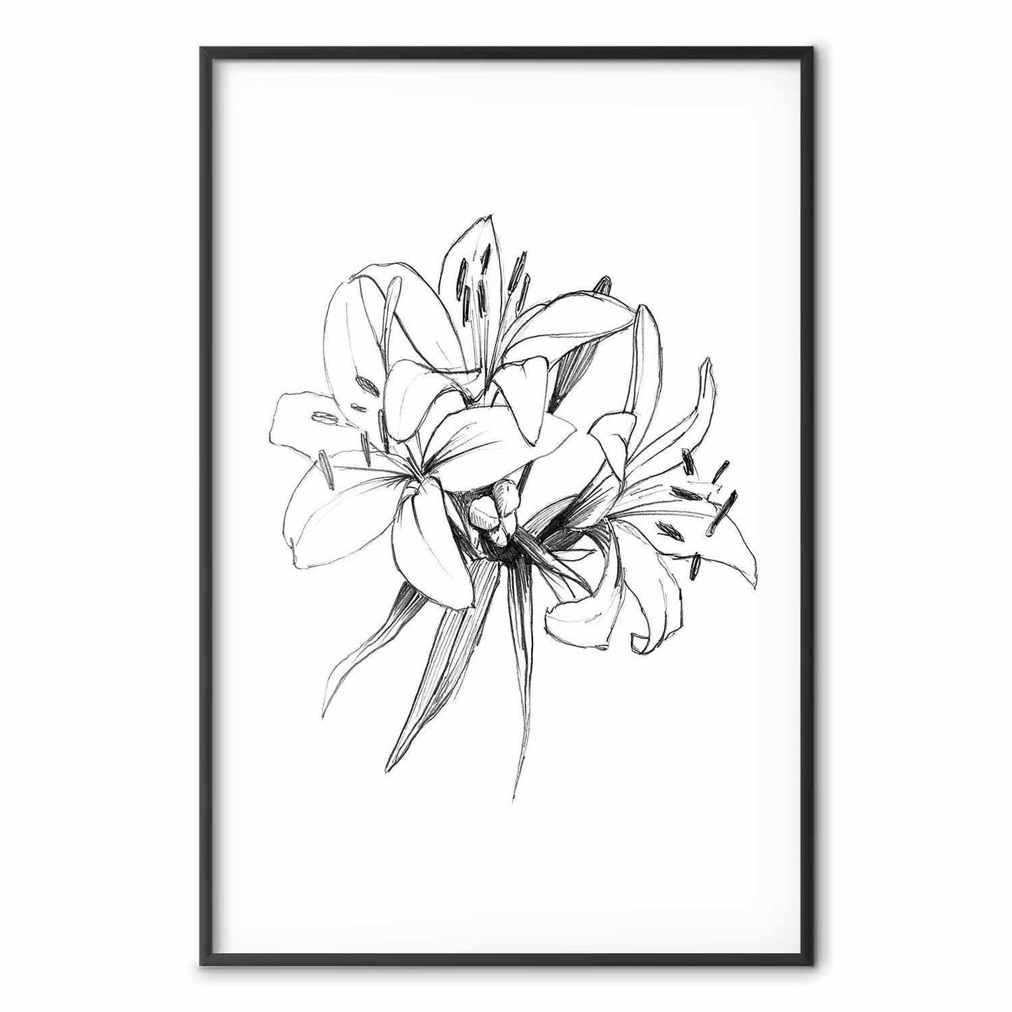 Poster - Drawn Flowers