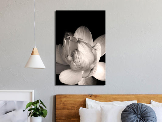 Leinwandbild - Delicacy of Petals in Nature (1-part) - Flower in Black and White Artgeist