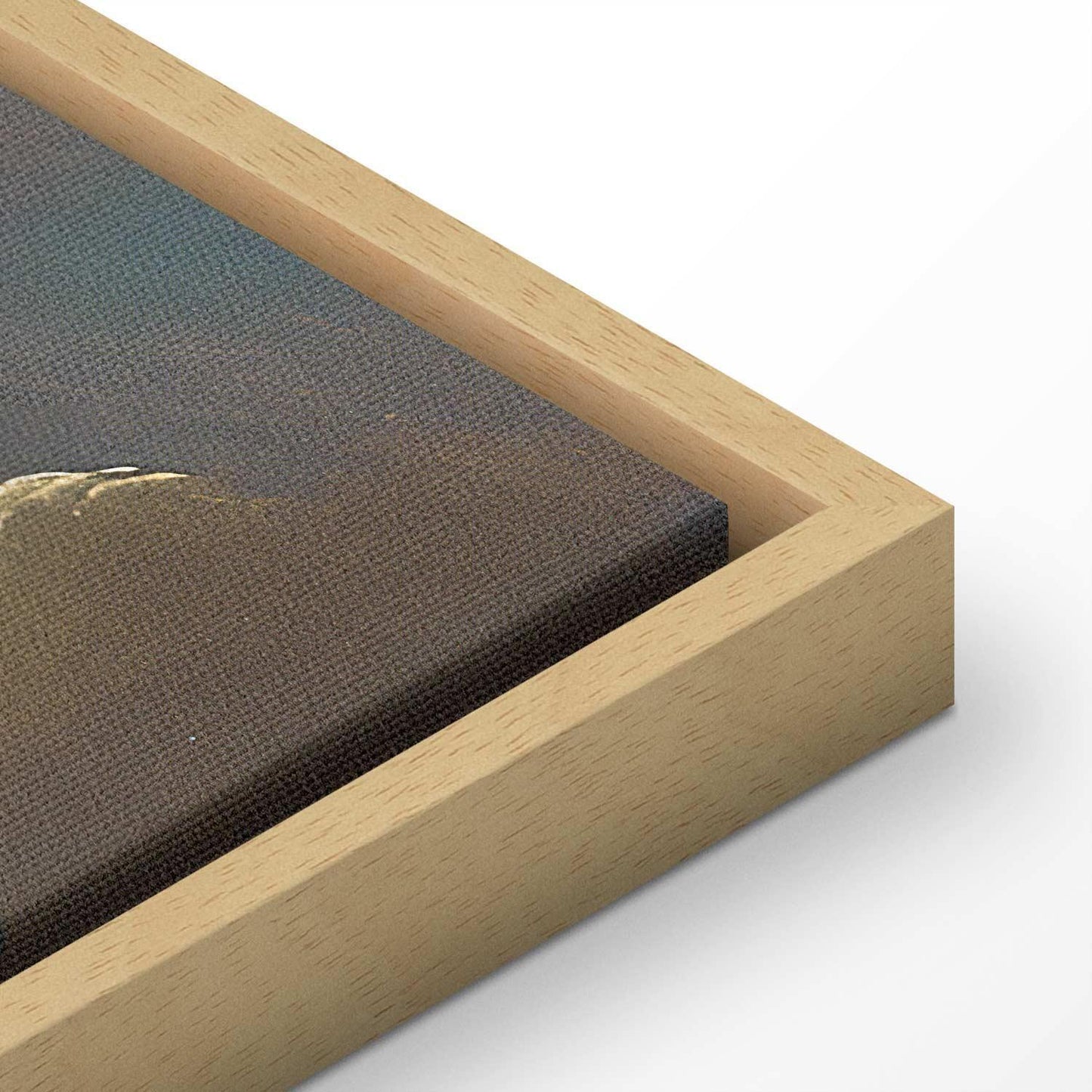 Leinwandbild - Sun and Shadows: A Theatrical Display of Nature High Above the Earth