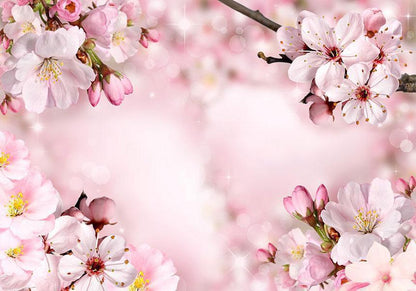 Fototapete „Frühlingshafte Kirschblüte“ – Zarte Blütenpracht für dein Zuhause sawelt.eu