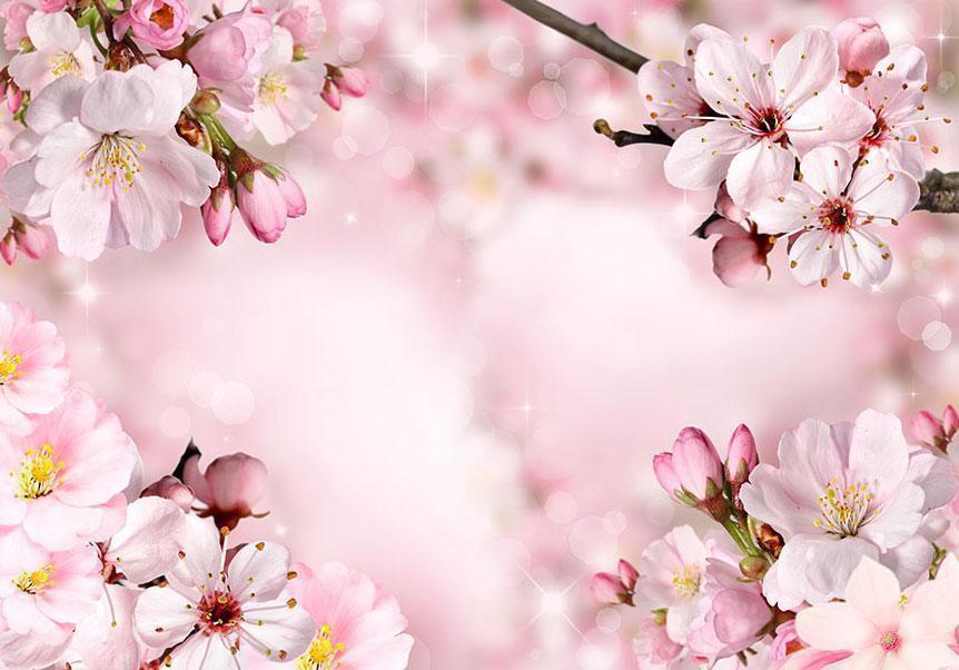 Fototapete „Frühlingshafte Kirschblüte“ – Zarte Blütenpracht für dein Zuhause sawelt.eu