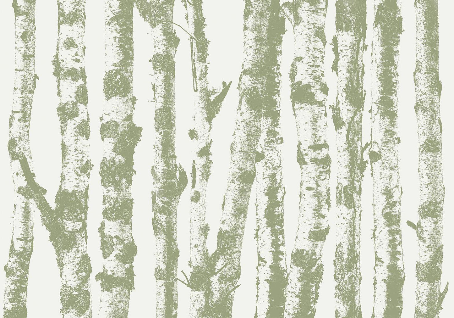 Fototapete - Stately Birches - Third Variant Artgeist