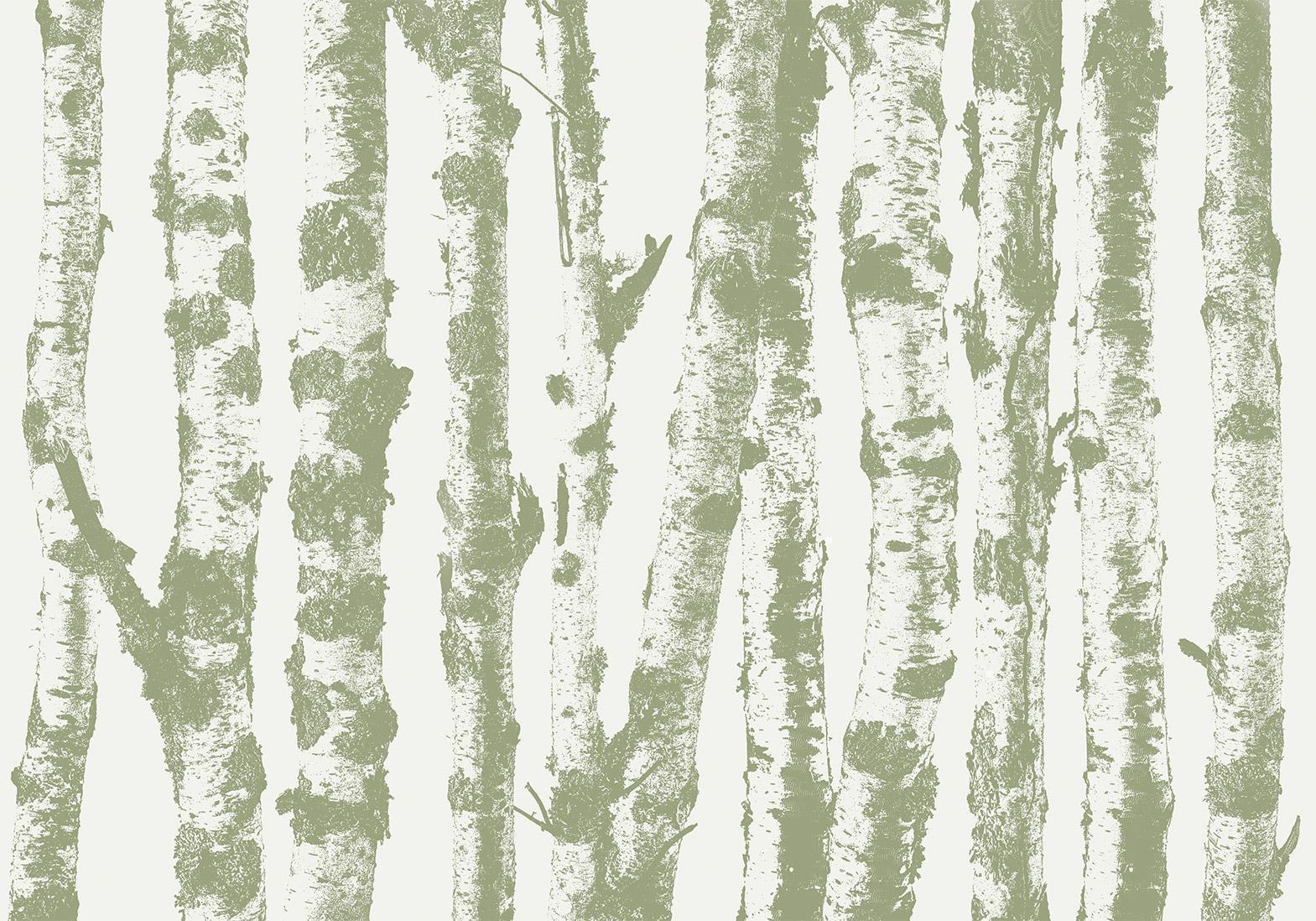 Fototapete - Stately Birches - Third Variant Artgeist