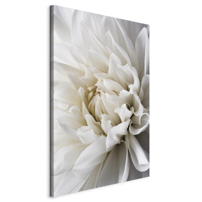 wandbild - White Dahlia