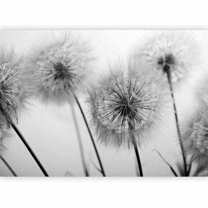 Fototapete - Time for Dandelions - Second Variant Artgeist