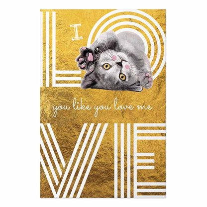 Poster - I Love You Like You Love Me