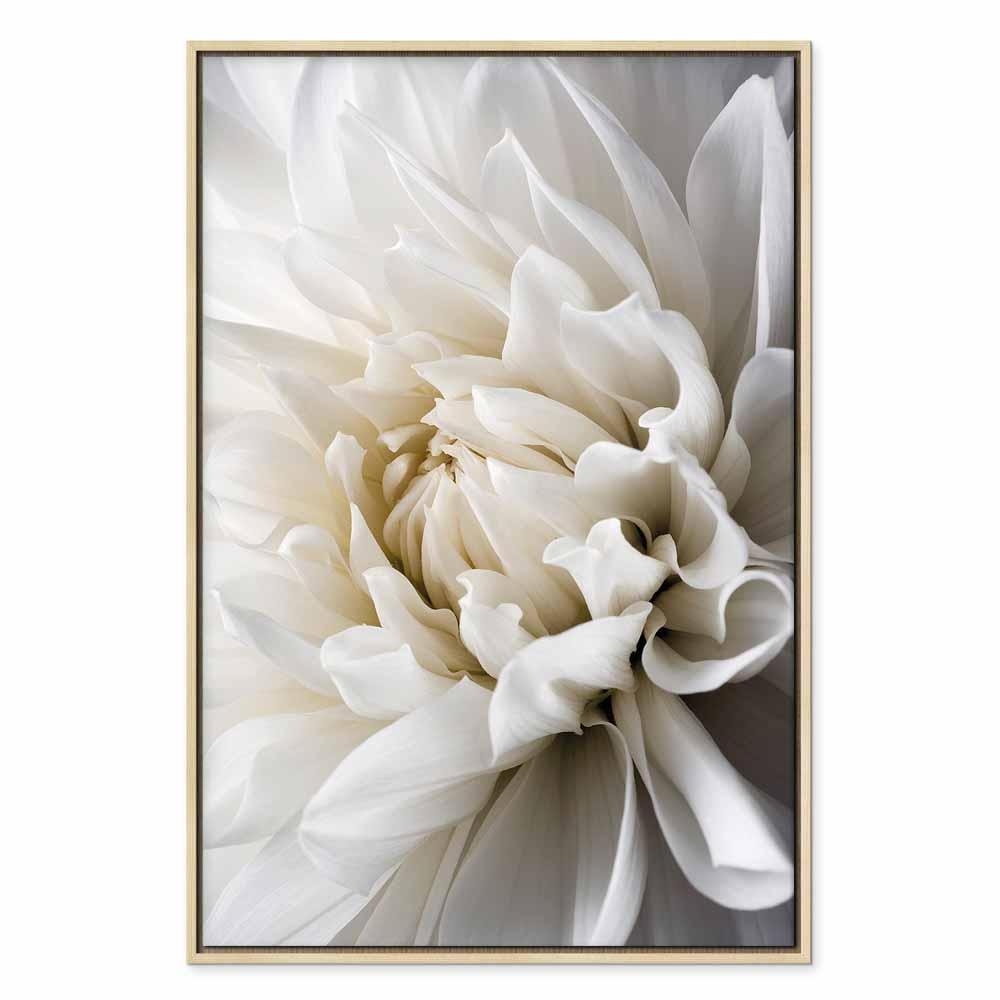 Leinwandbild - White Dahlia