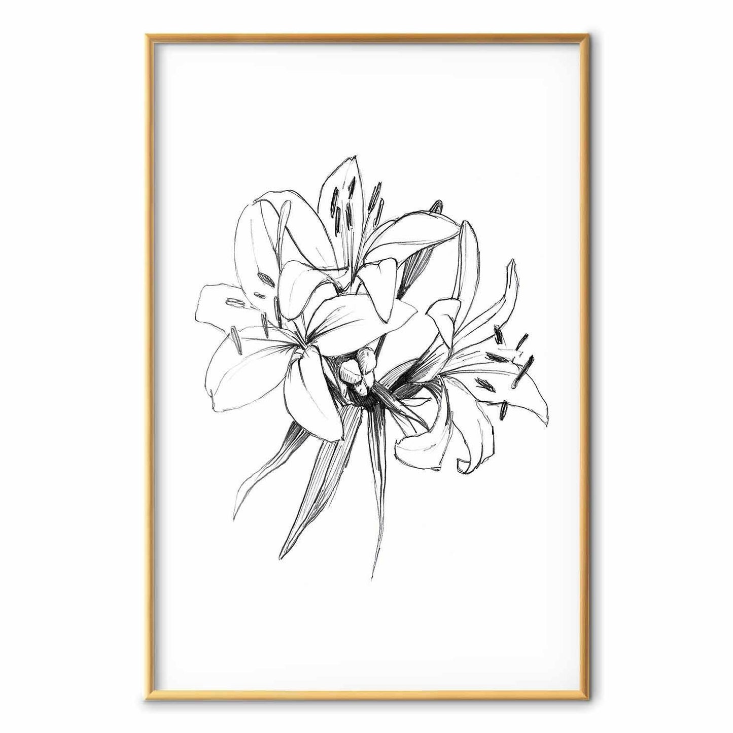 Poster - Drawn Flowers