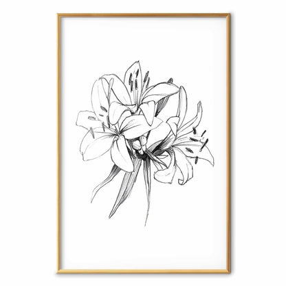 Poster - Drawn Flowers