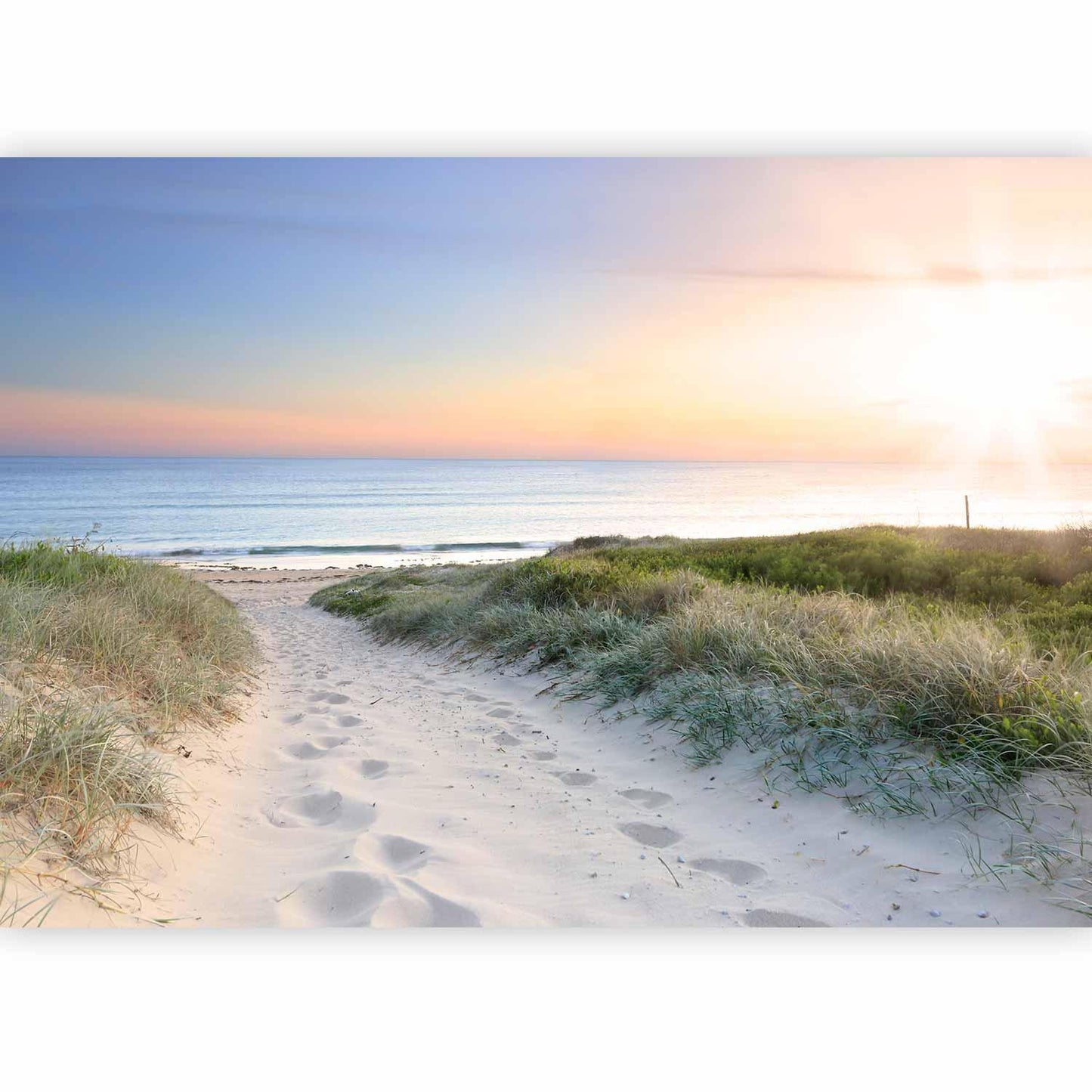 Fototapete Morgen am Strand – Sanfter Spaziergang in beruhigender Küstenatmosphäre