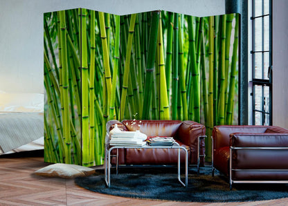 Paravent - Bamboo Forest II Artgeist