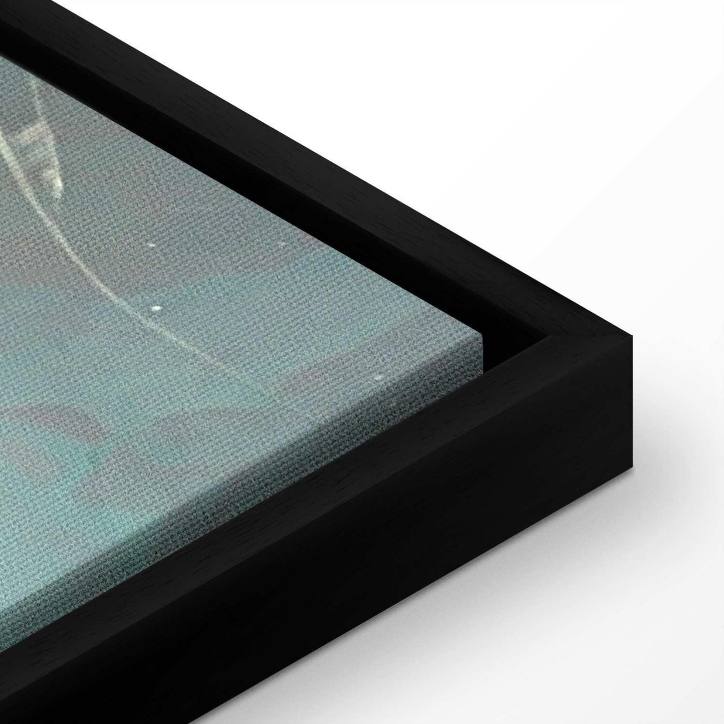 Leinwandbild - School of small fish