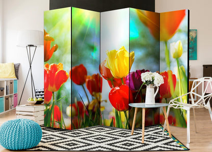 Paravent - Spring Tulips II Artgeist