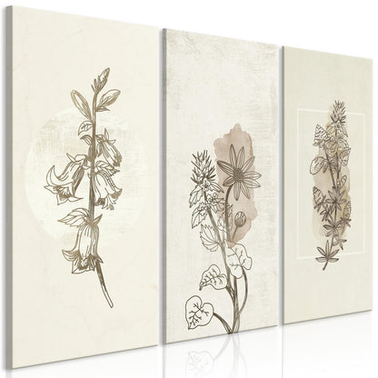 Leinwandbild - Herbarium (3 Parts)