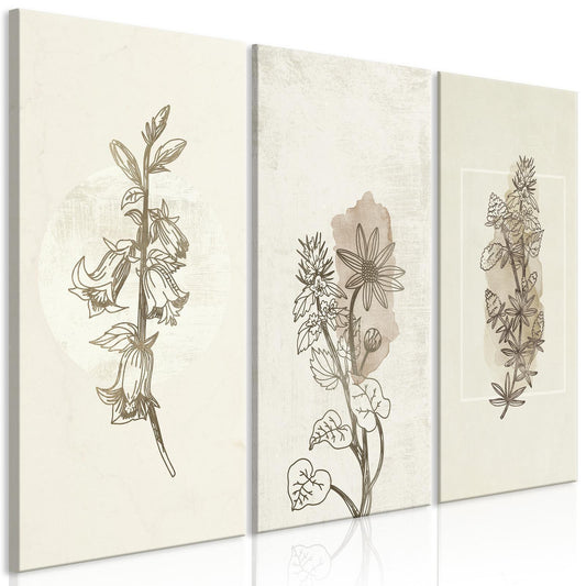 Leinwandbild - Herbarium (3 Parts)