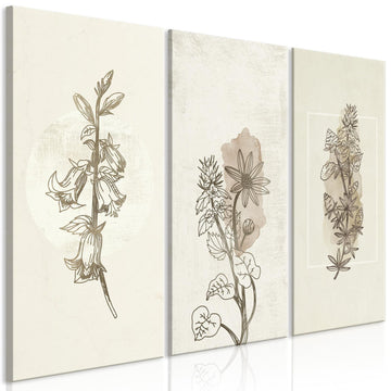 Leinwandbild - Herbarium (3 Parts)