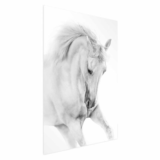 Poster - White Horse Artgeist
