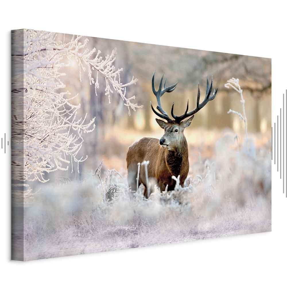 Leinwandbild - Deer in the Cold