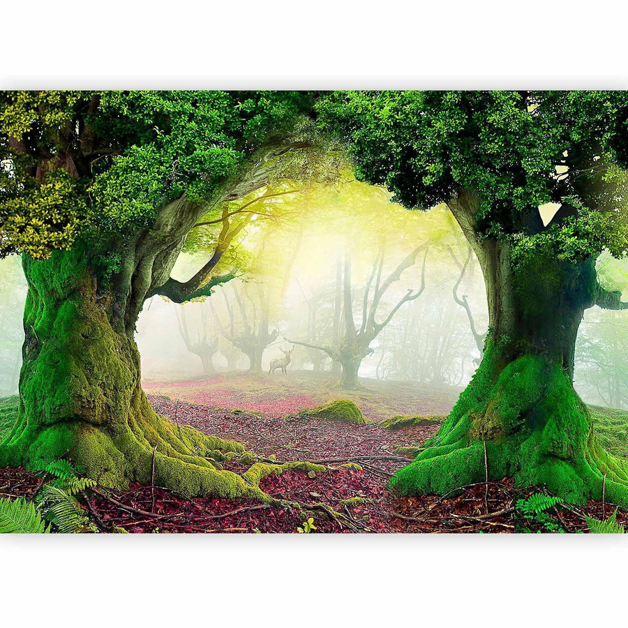 Fototapete „Verzauberter Wald“ – Magie & Natur für Ihr Zuhause