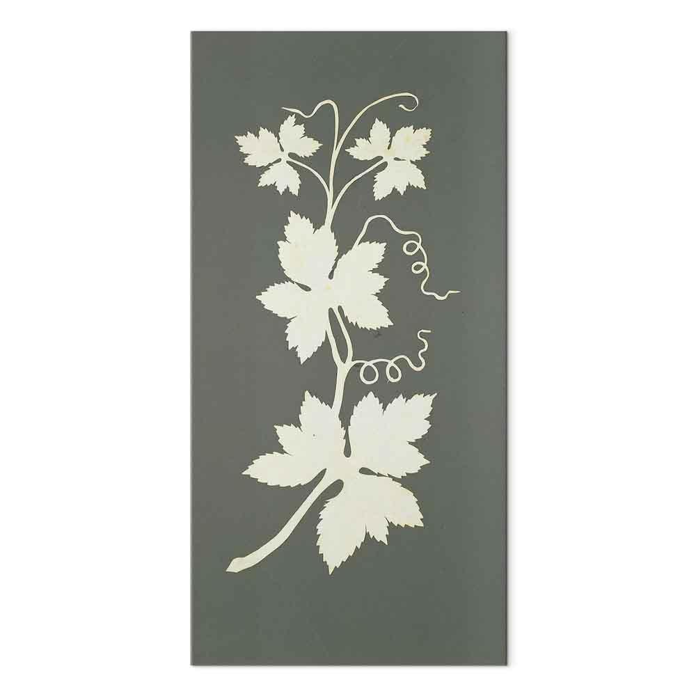 Leinwandbild - Philipp Otto Runge – Hop plant