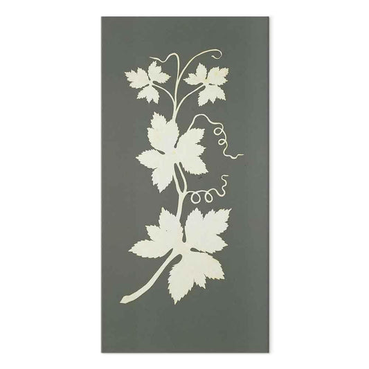 Leinwandbild - Philipp Otto Runge – Hop plant