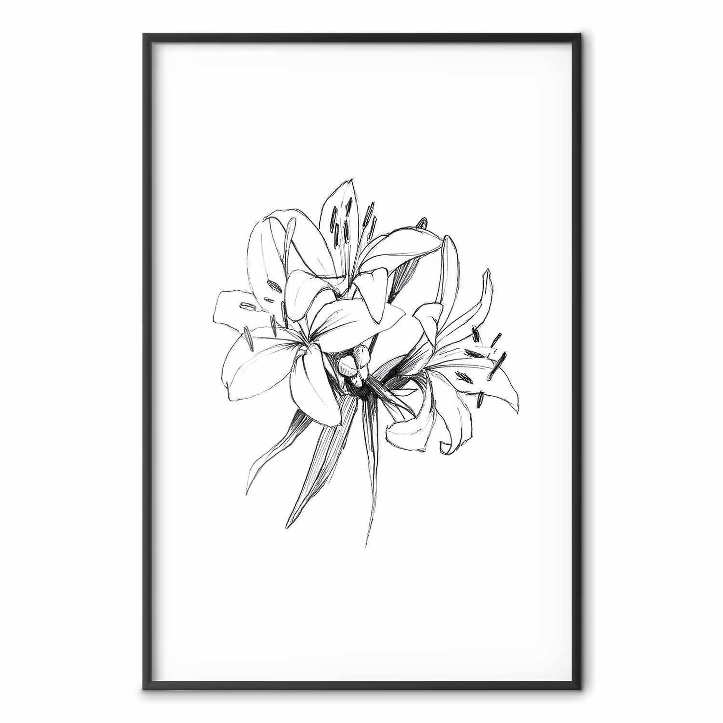 Poster - Drawn Flowers