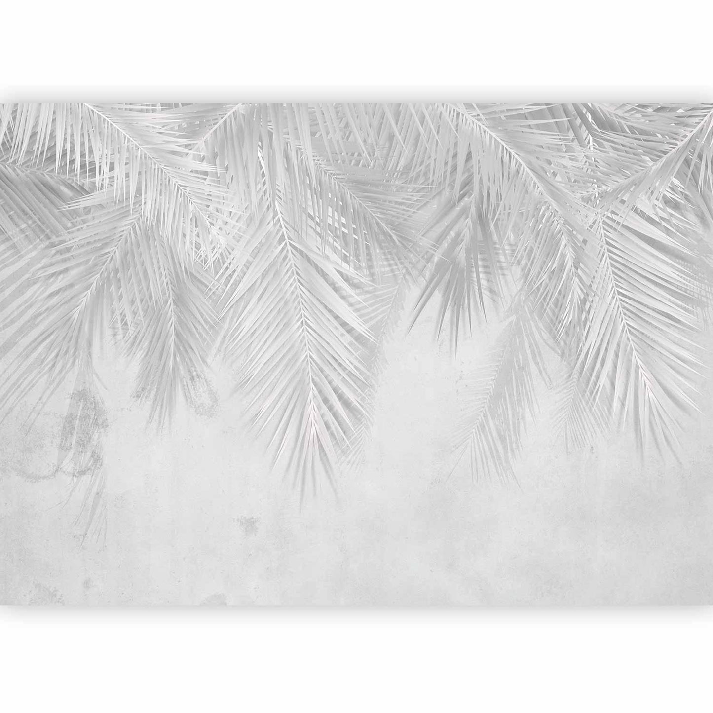 Fototapete - Monotony of Calm