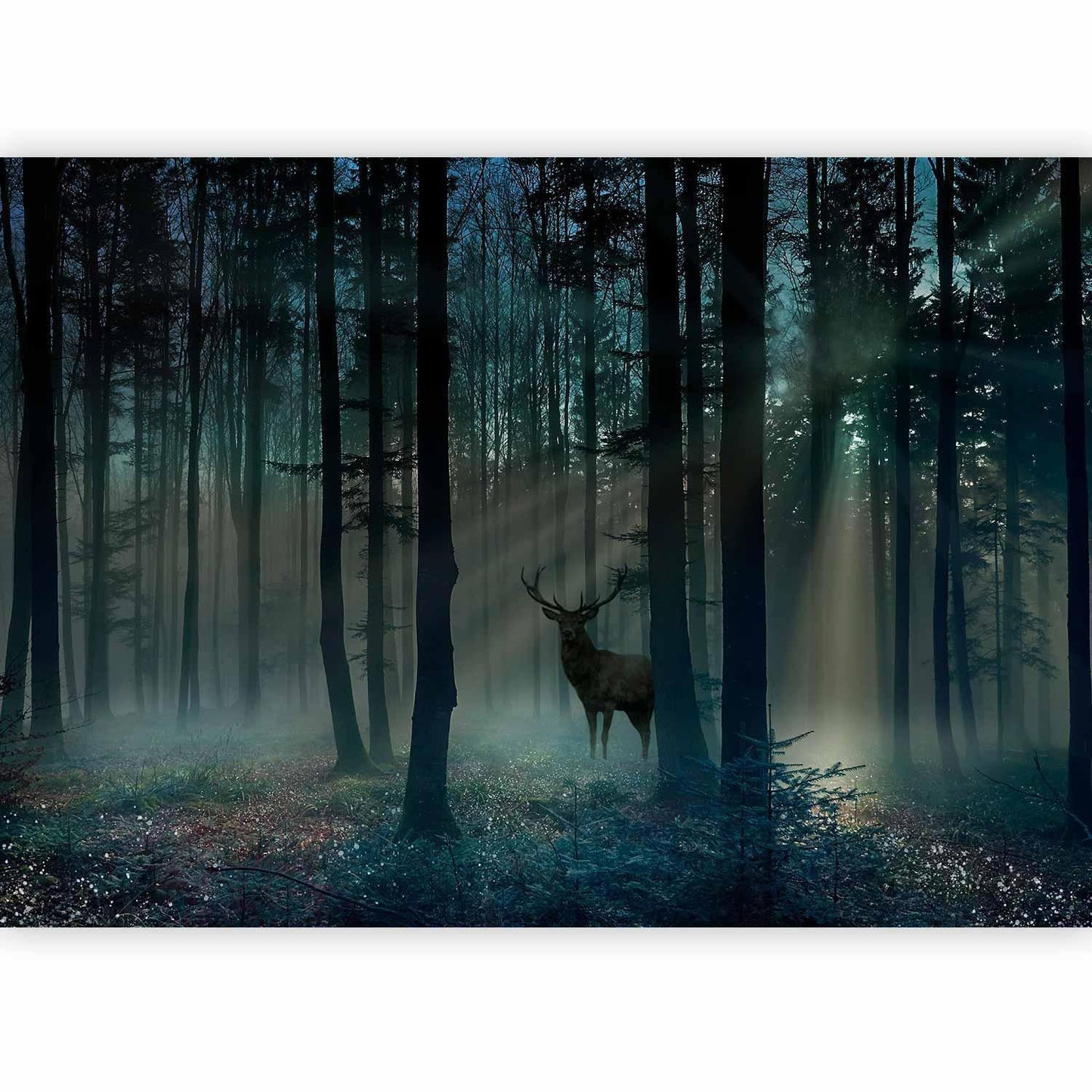 Fototapete - Mystical Forest - Third Variant