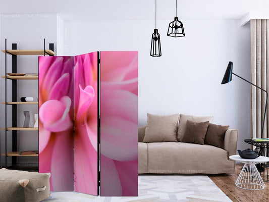 Paravent - Flower petals - dahlia Artgeist