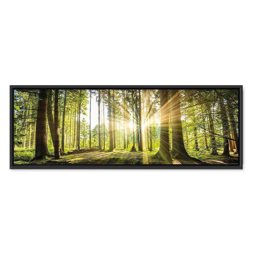 Leinwandbild - Daylight