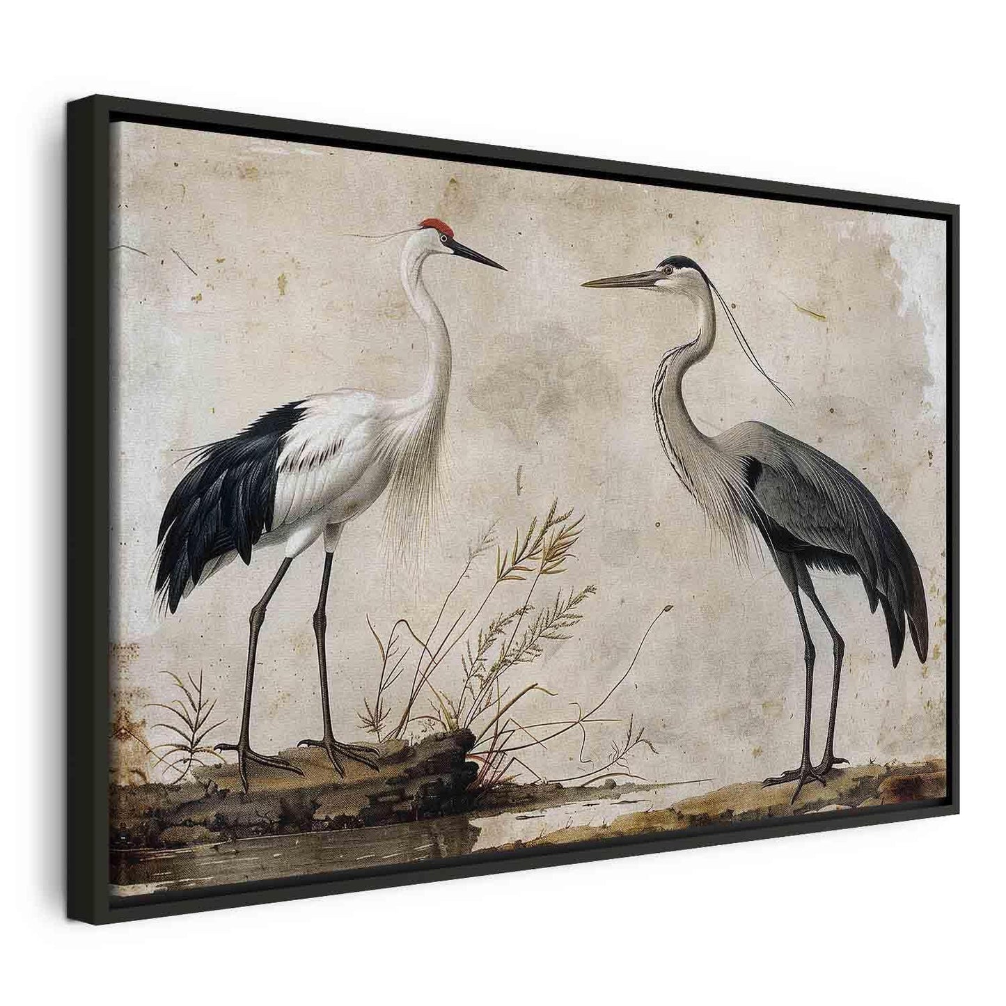 Leinwandbild - Birds from an old engraving - vintage-style illustration depicting a heron and a crane