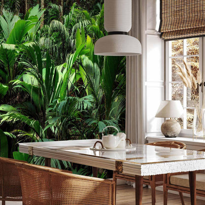 Fototapete - Freshness of the Jungle