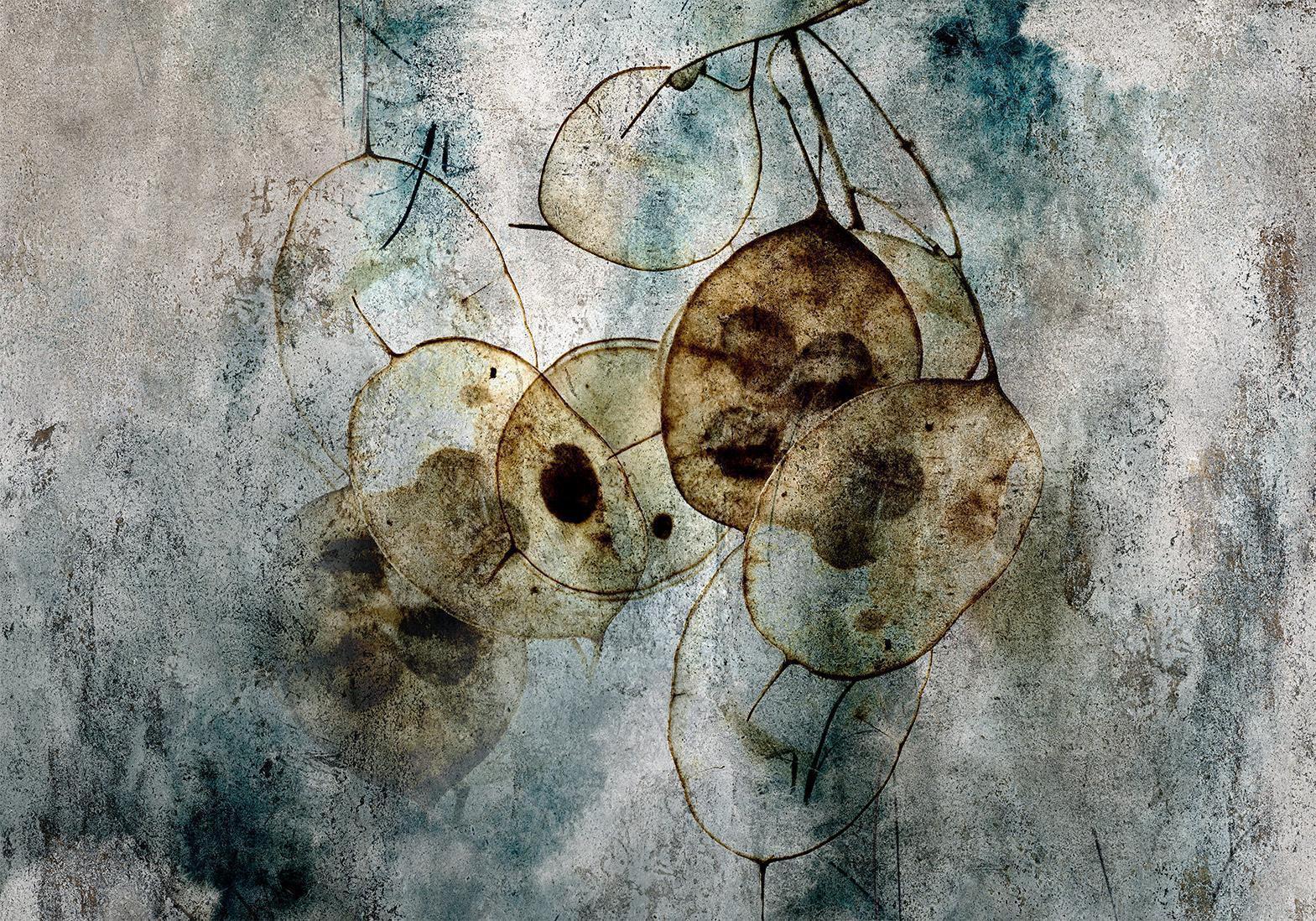Fototapete - Nature and Lunaria Artgeist