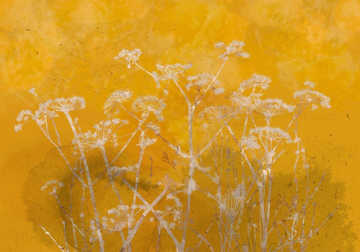 Fototapete - Meadow Bathed in the Sun Artgeist
