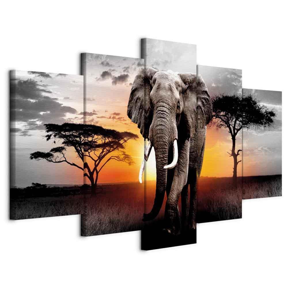Leinwandbild - Elephant at Sunset