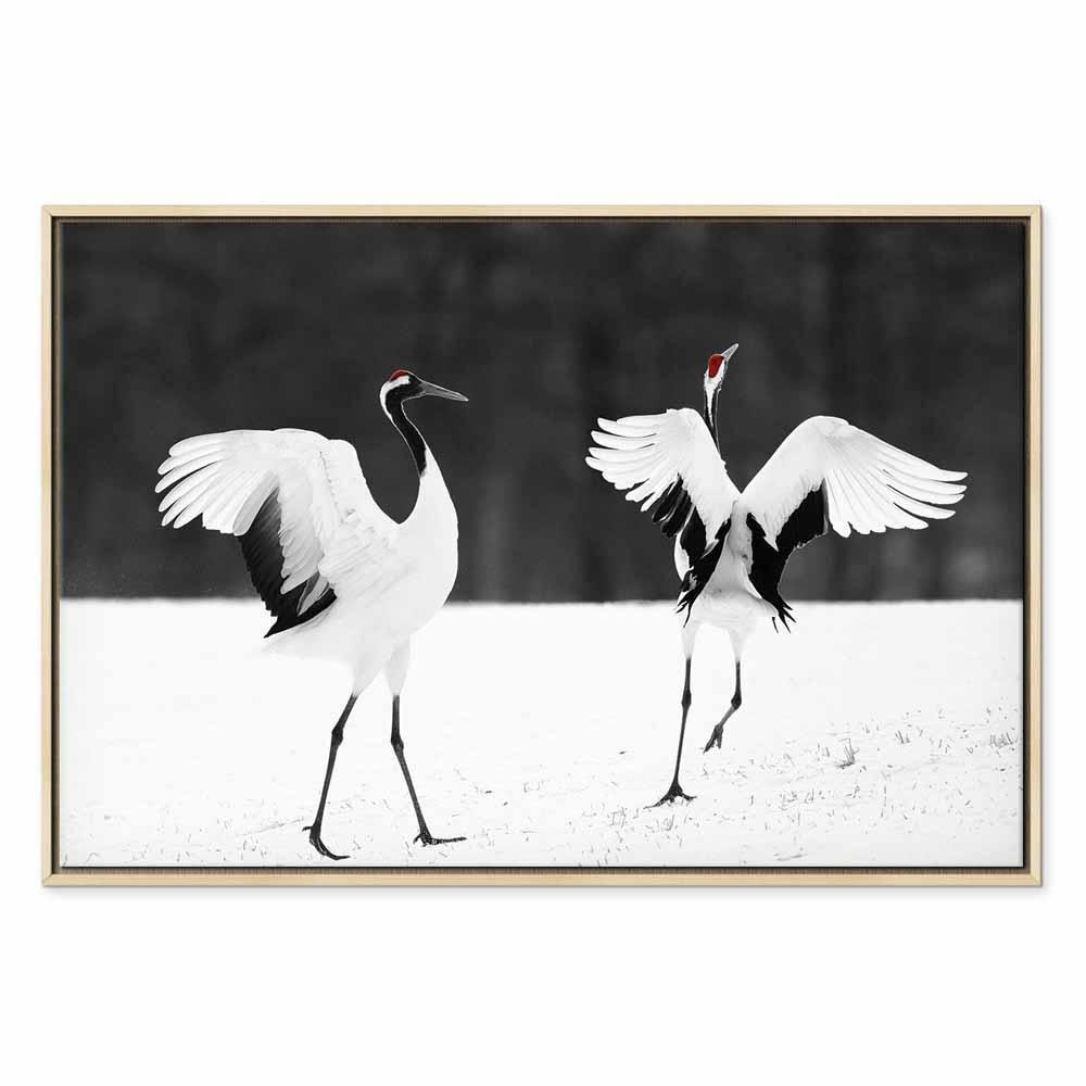 Leinwandbild - Dancing Cranes (1 Part) Wide