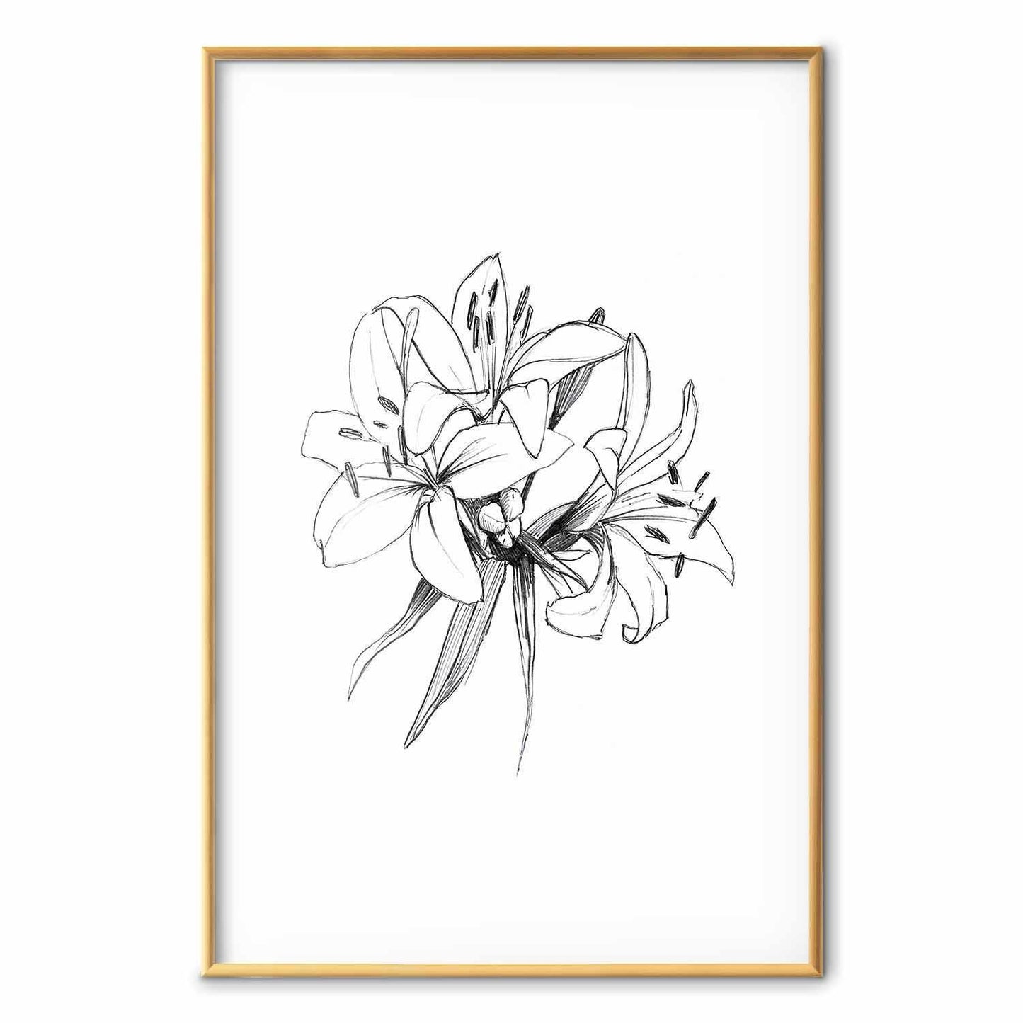 Poster - Drawn Flowers