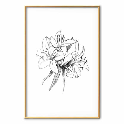 Poster - Drawn Flowers
