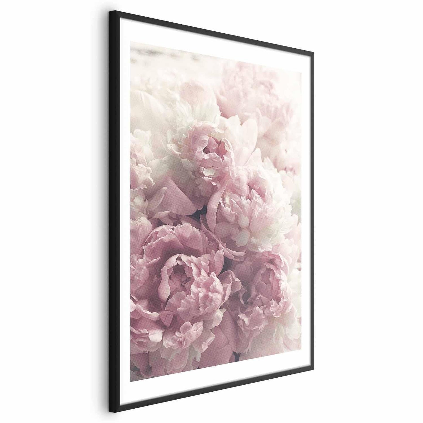 Poster Zarte Pfingstrosen – Blumenposter für stilvolle Wanddeko