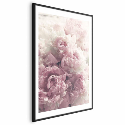 Poster Zarte Pfingstrosen – Blumenposter für stilvolle Wanddeko