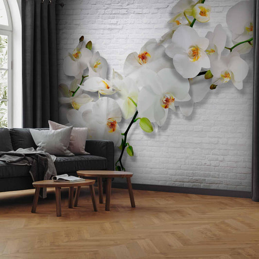Fototapete Weiße Orchidee – moderne Blütentapete mit urbanem Hintergrund in Grau und Weiß