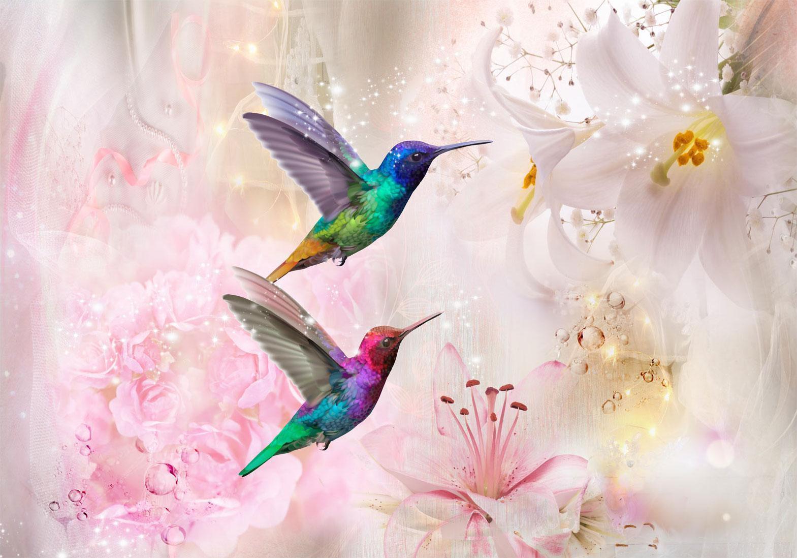 Fototapete - Colourful Hummingbirds (Pink) Artgeist