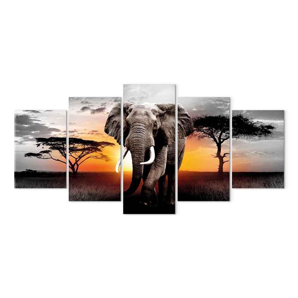 Leinwandbild - Elephant at Sunset