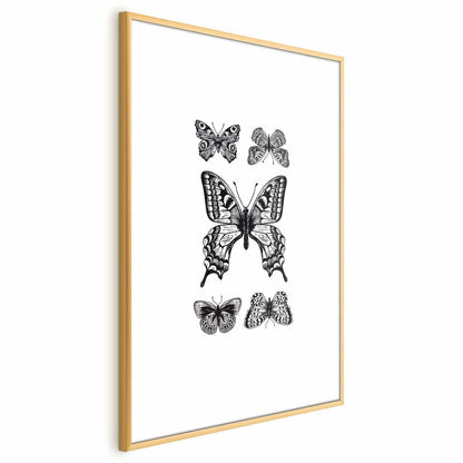 Poster - Five Butterflies Artgeist