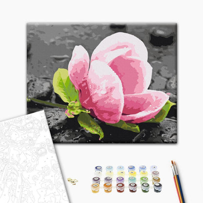 Malen nach Zahlen - Pink Flower and Stones