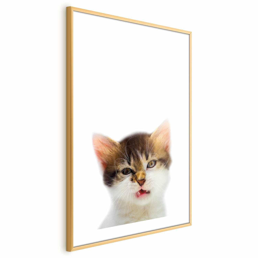 Poster - Annoyed Cat Artgeist