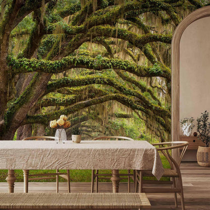 Fototapete - Tree embrace