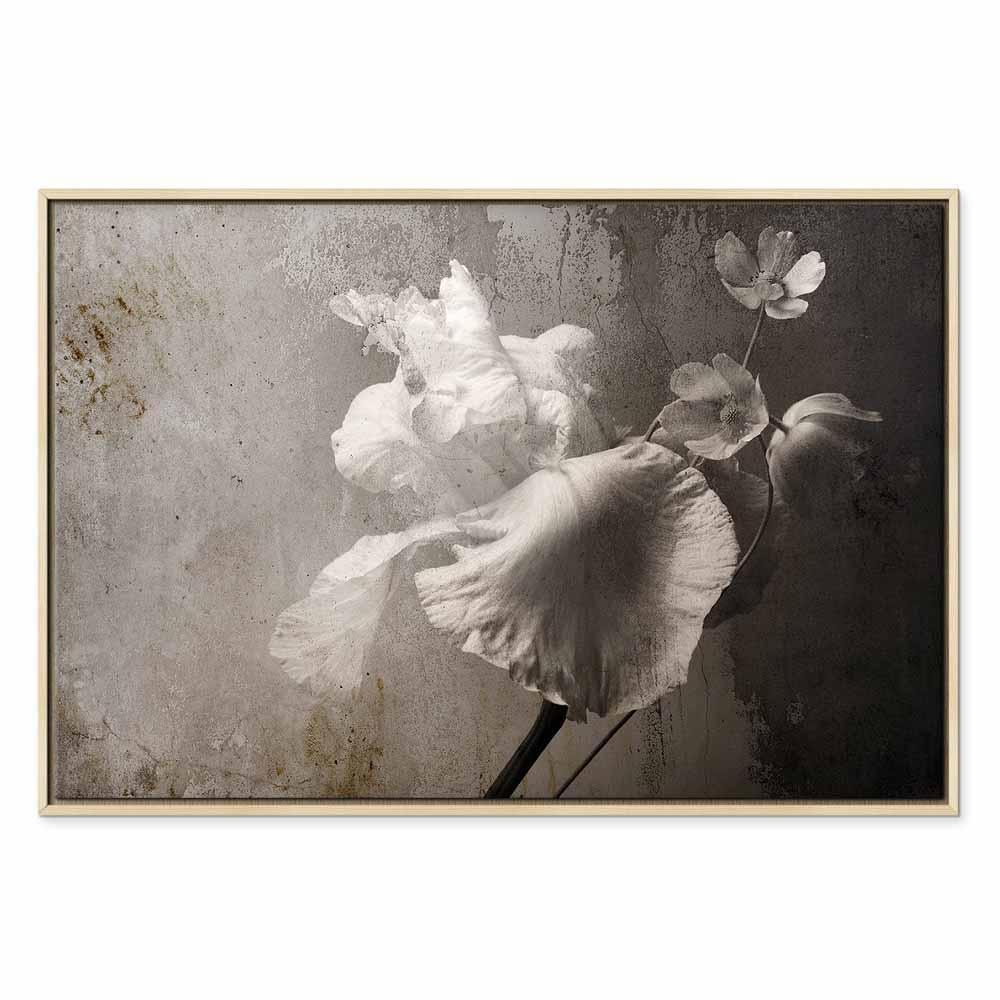 Leinwandbild - Venetian Splendor (1 Part) Wide